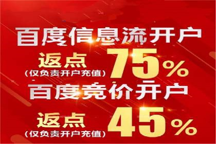 百度平台推广策略及成功案例解析